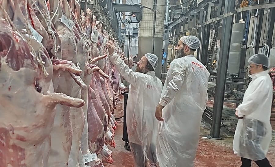 בדיקת הפתע מעידה: הקפדה הלכתית חסרת פשרות במשחטת ה"בשורה"