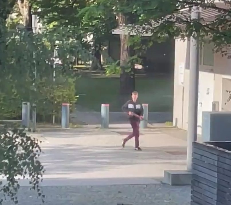 הפיגוע במינכן: המחבל השתמש ברובה ממלחמת העולם