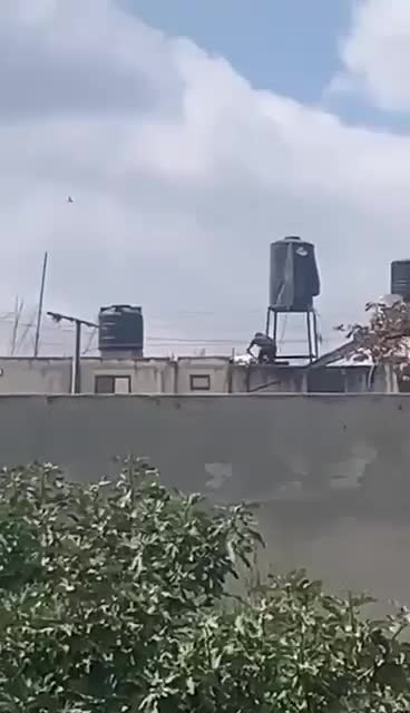 WhatsApp Video 2024-09-19 at 12.30.22