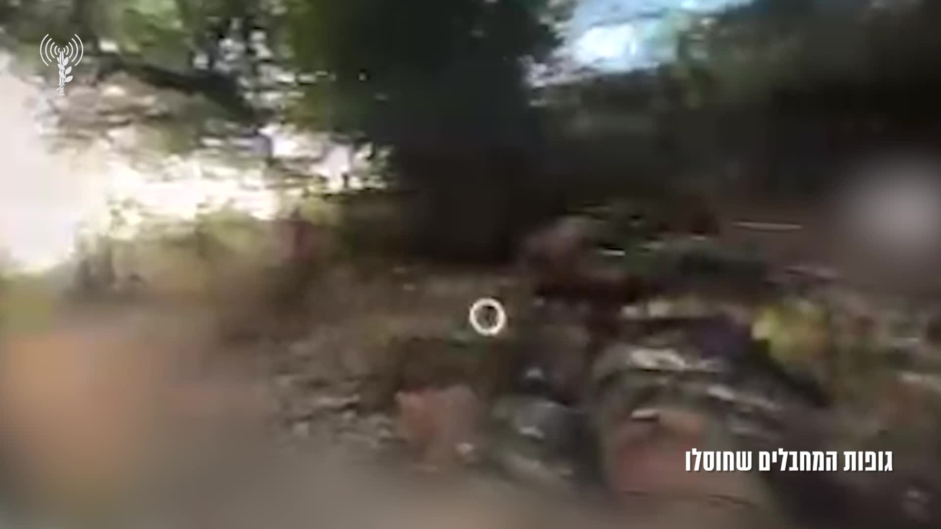 גופות מחבלים
