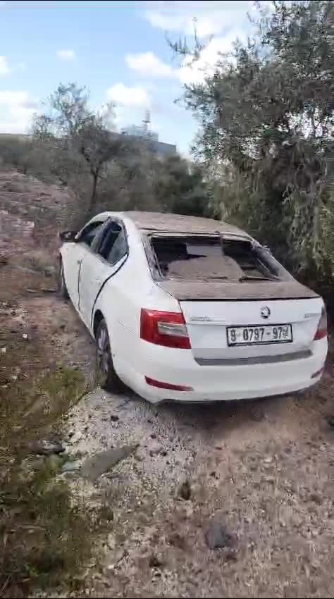 WhatsApp Video 2024-09-23 at 17.42.27
