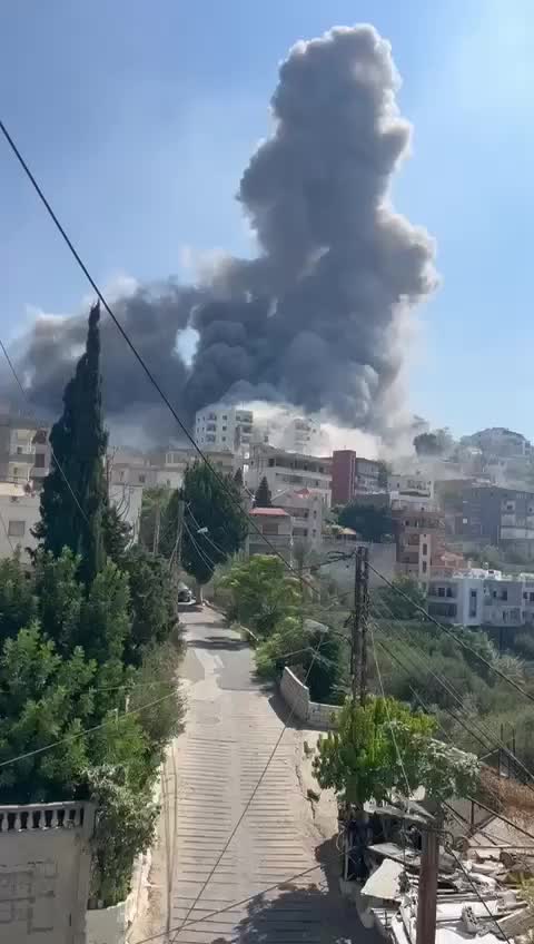 WhatsApp Video 2024-09-27 at 13.07.48