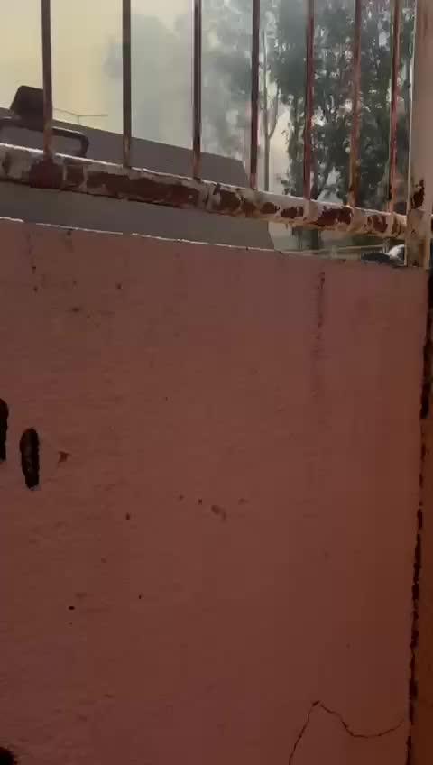 WhatsApp Video 2024-10-09 at 14.36.58