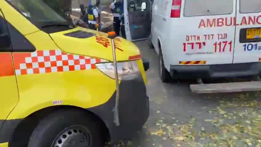 WhatsApp Video 2024-10-09 at 14.59.03