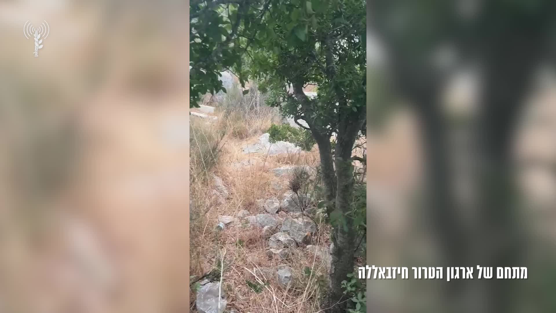 מתחם כוח רדואן