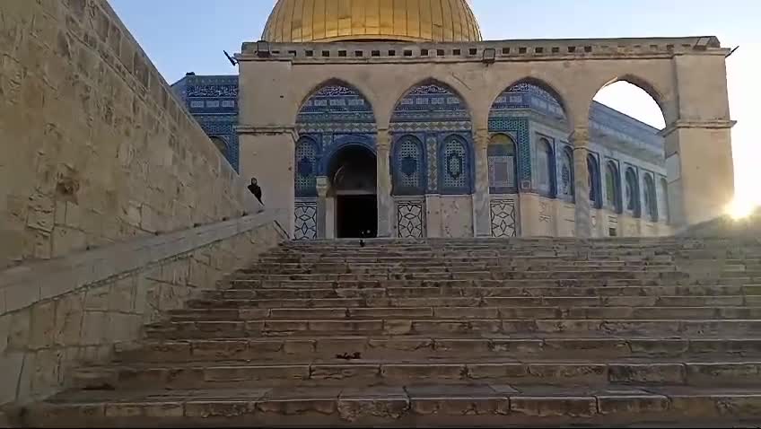 WhatsApp Video 2024-10-20 at 08.28.41