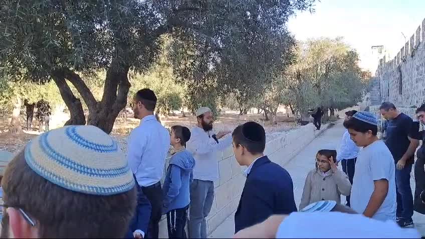 WhatsApp Video 2024-10-20 at 08.28.45