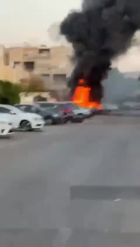WhatsApp Video 2024-11-07 at 16.30.41