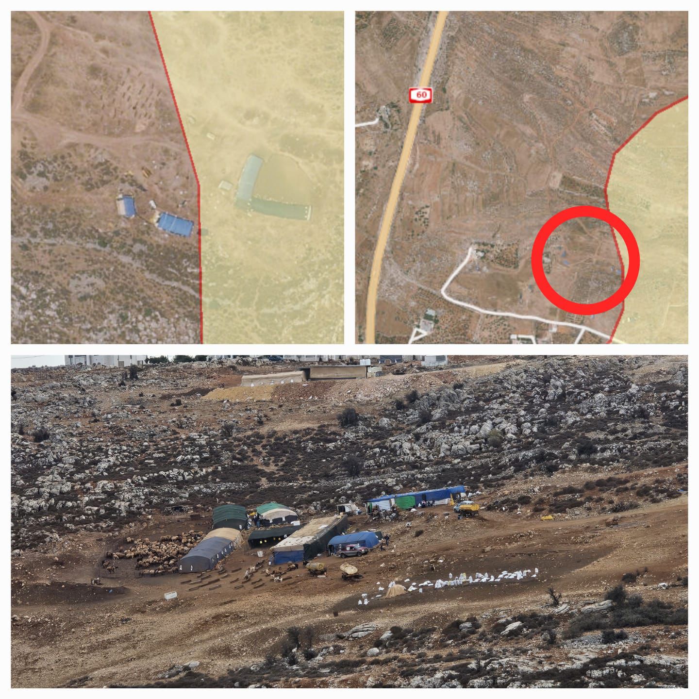 פעם שניה בשבוע: ערבים הרעילו עדר בגבעת אור מאיר