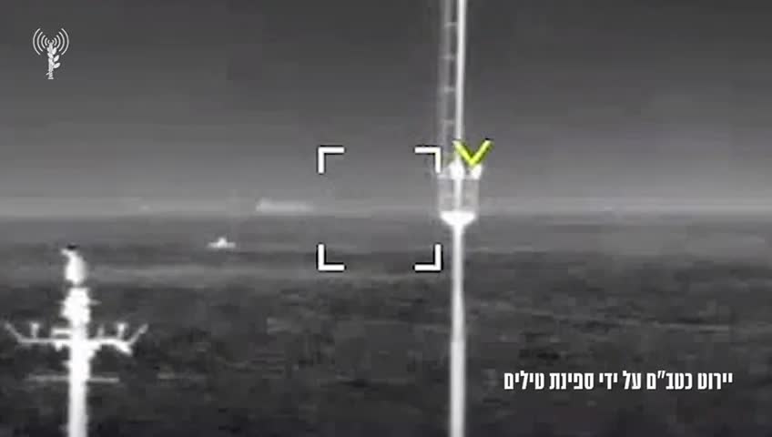 video (3)