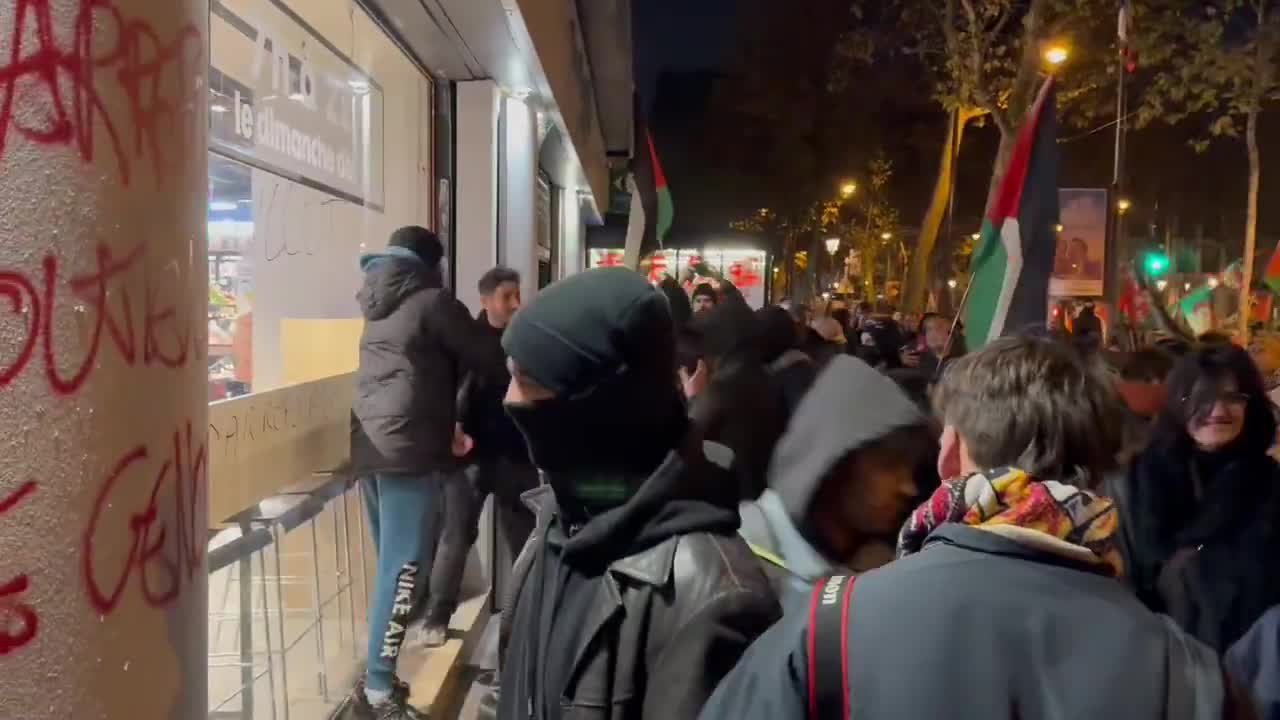 הפגנות צרפת (2)