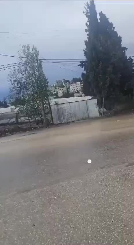 WhatsApp Video 2024-11-19 at 08.11.58