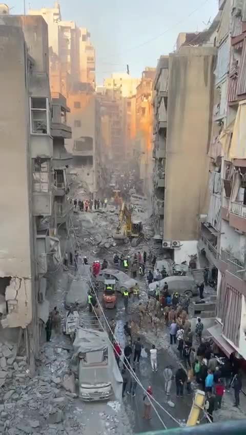 WhatsApp Video 2024-11-23 at 07.37.02