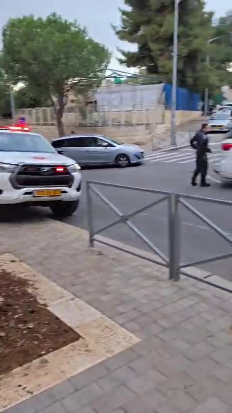 WhatsApp Video 2024-11-28 at 15.24.06