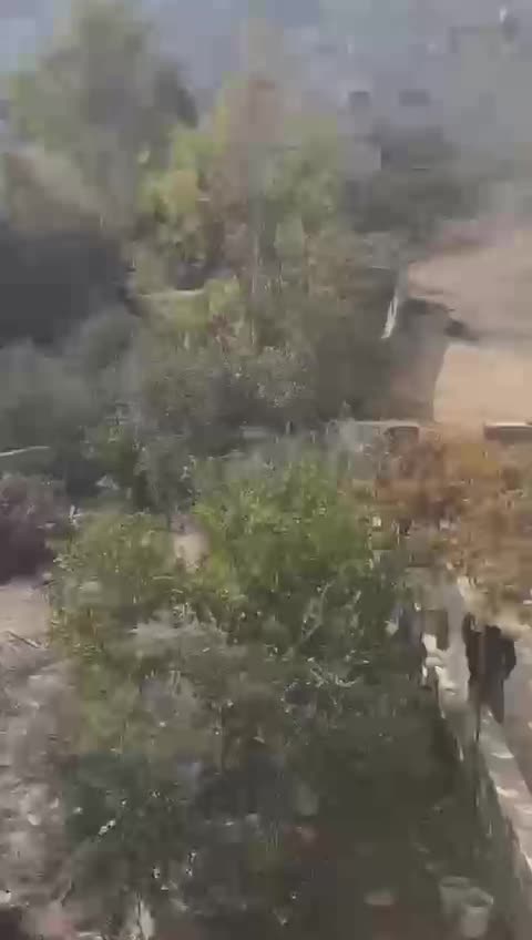 טובאס