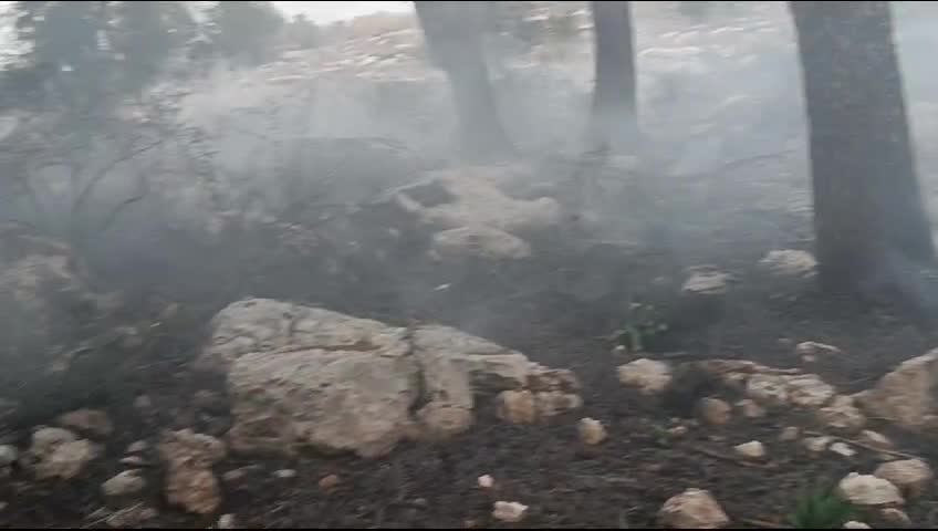 WhatsApp Video 2024-12-11 at 20.41.12
