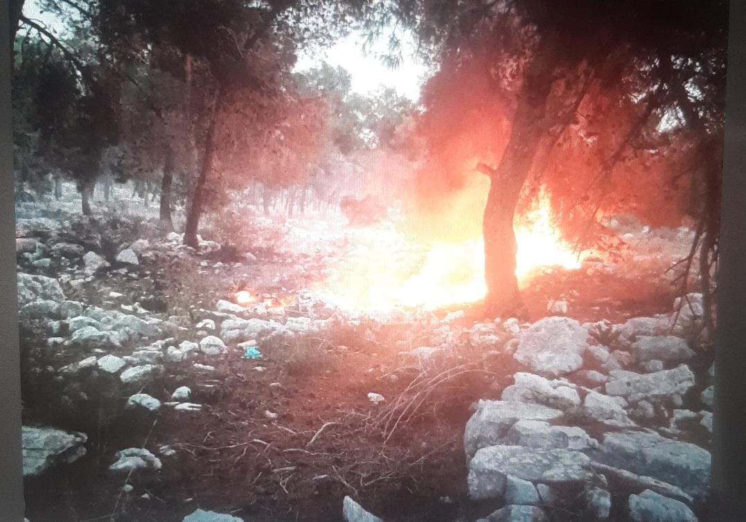 ערבים ניסו להצית הערב את חוות אל נווה (בת אל ונדב שוורץ)
