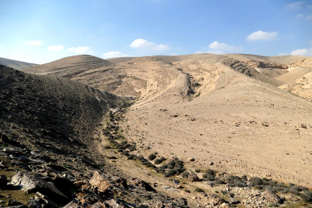 "השלכות סביבתיות קשות": עתירה הוגשה נגד בניית השכונה בדימונה