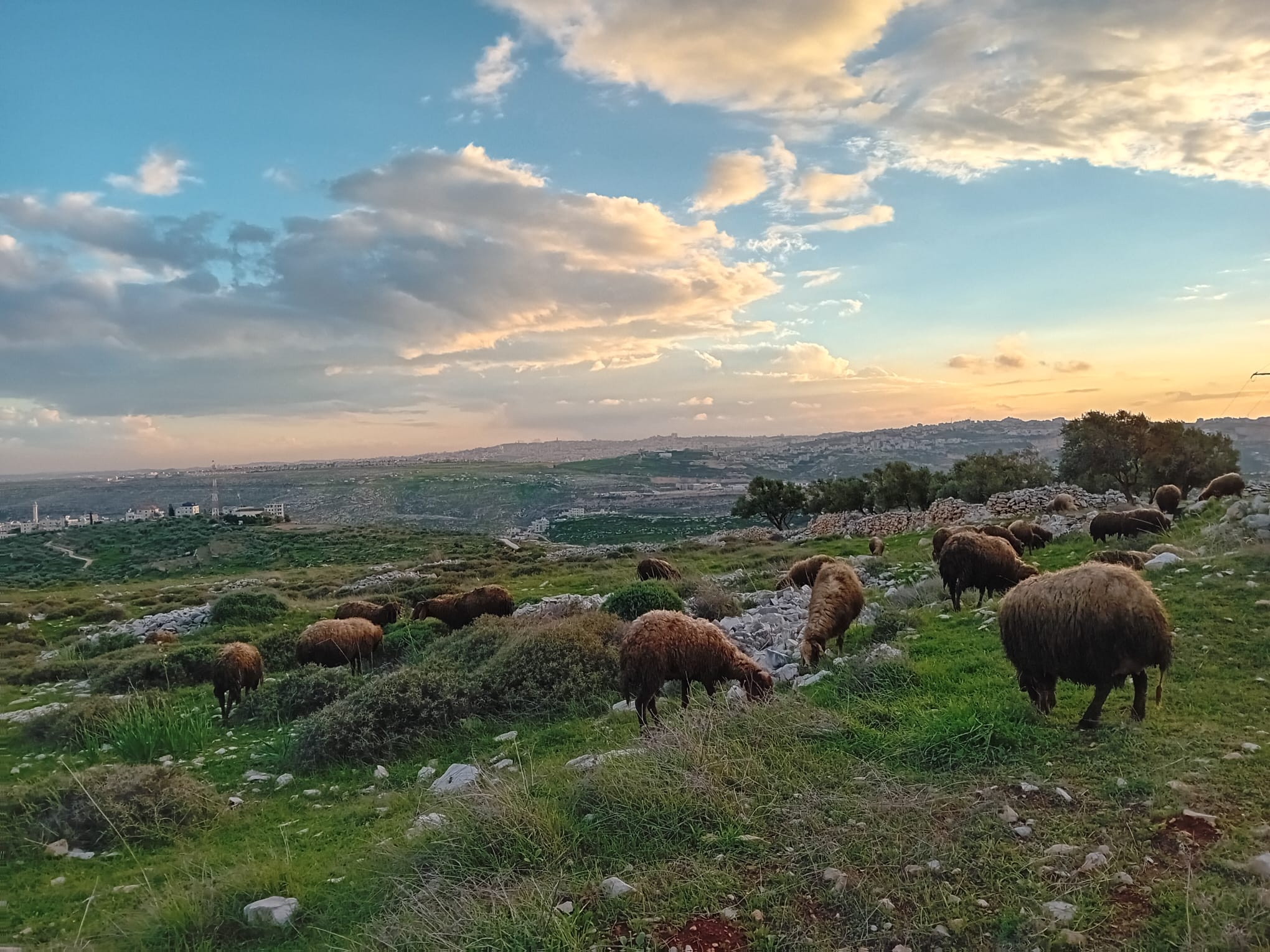 הנוף היפהפה הנשקף מהגבעה בזמן המרעה