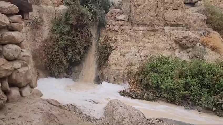 WhatsApp Video 2024-12-31 at 08.30.29