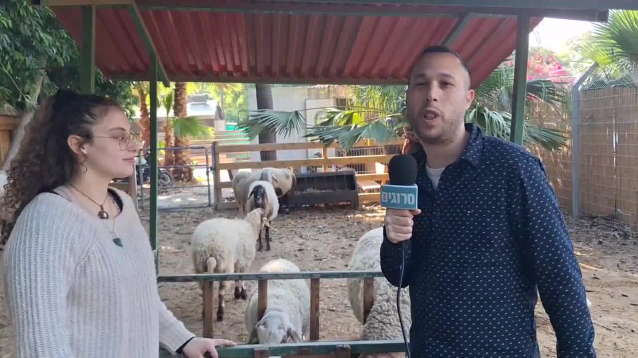 רות והטלה ערוך
