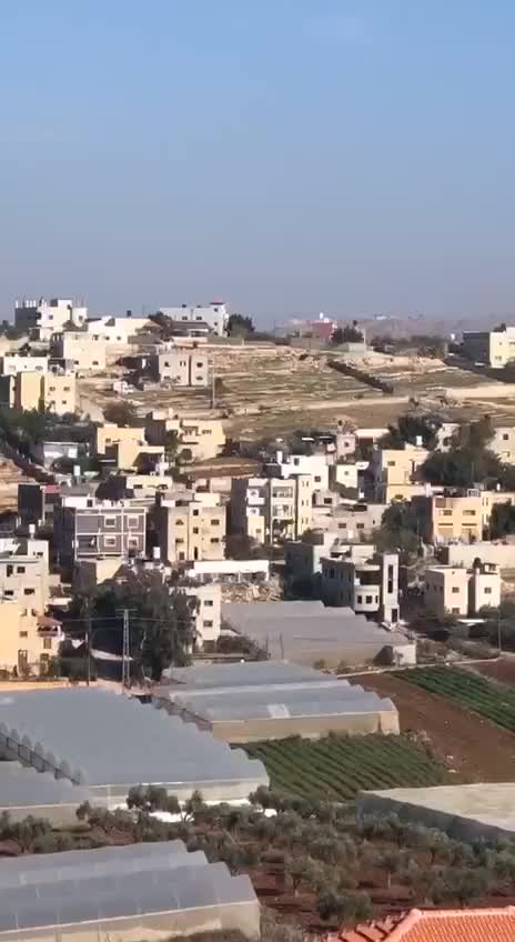 WhatsApp Video 2025-01-08 at 10.02.14
