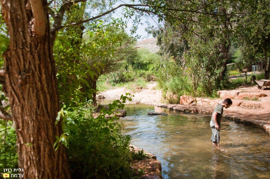 נחל עיון