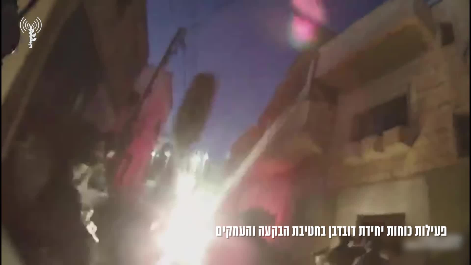 פעילות דובדבן