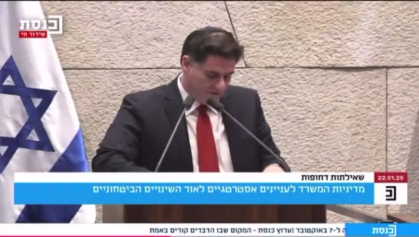 רון דרמר בכנסת