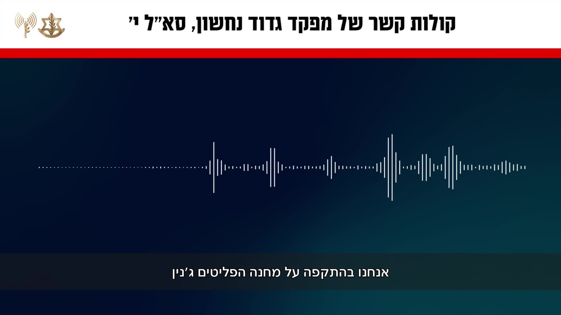 מפקד גדוד נחשון