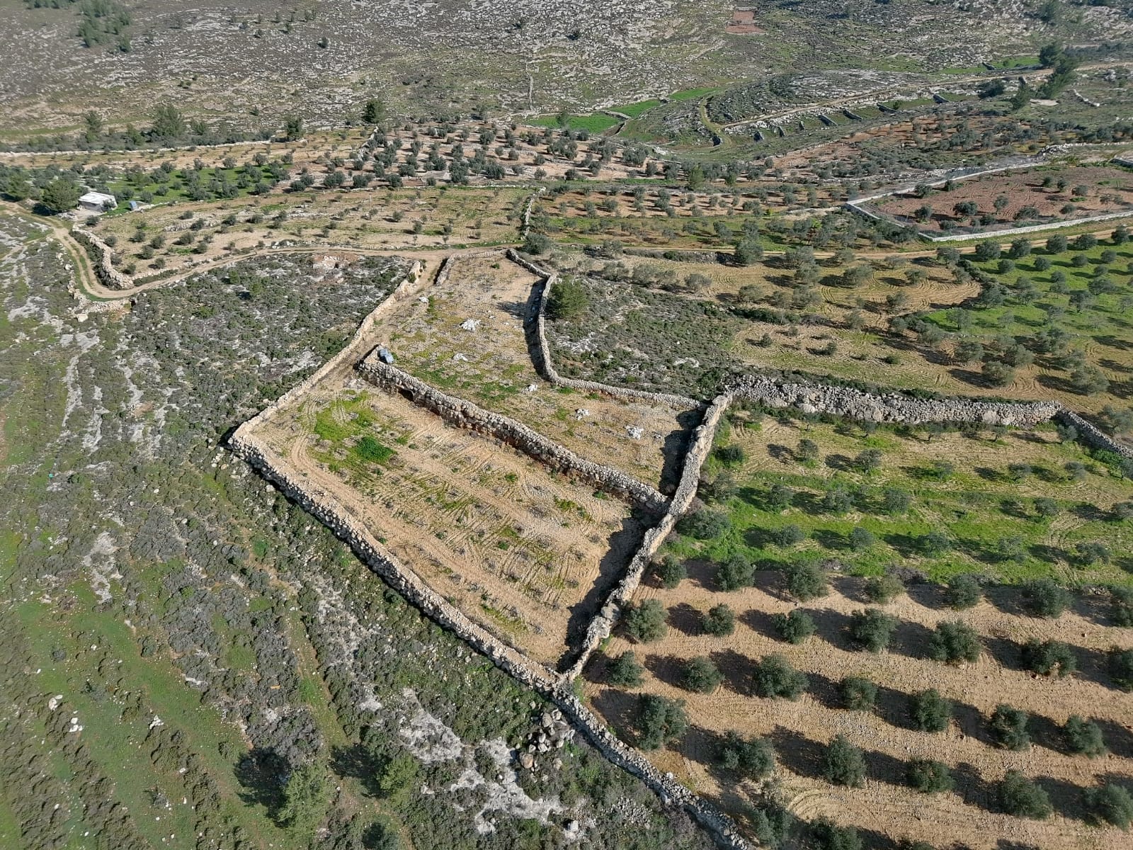 בעקבות העתירה לבג"ץ: תיעצר הפלישה הבלתי חוקית בגוש עציון