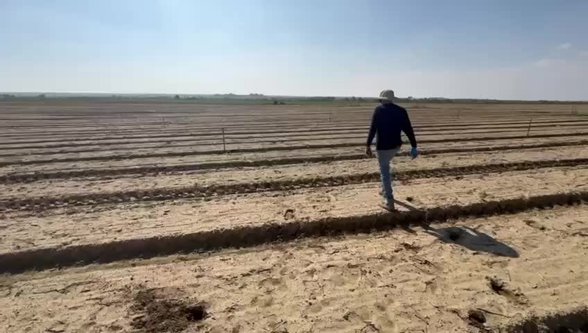 WhatsApp Video 2025-02-04 at 19.35.03 (1)