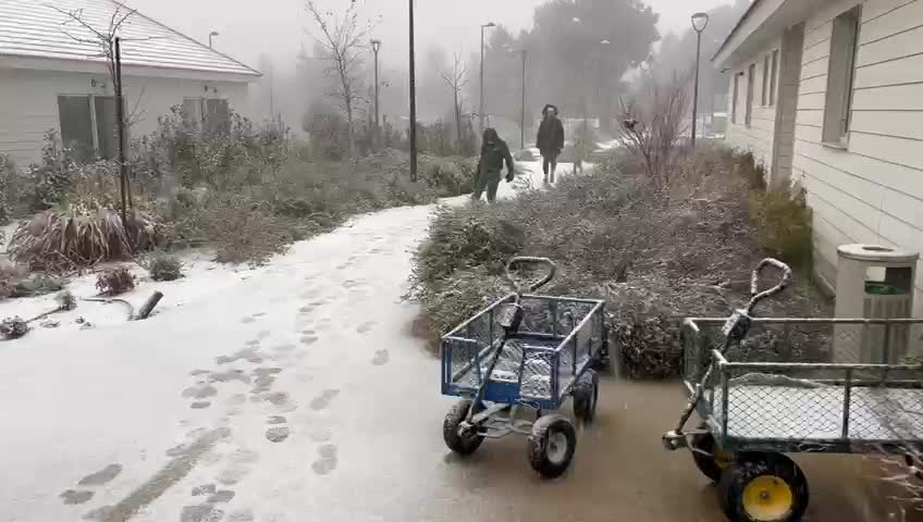 WhatsApp Video 2025-02-06 at 07.19.39