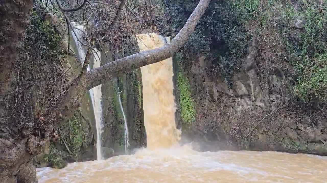 WhatsApp Video 2025-02-06 at 08.19.57