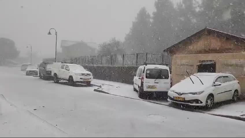 WhatsApp Video 2025-02-06 at 08.14.15