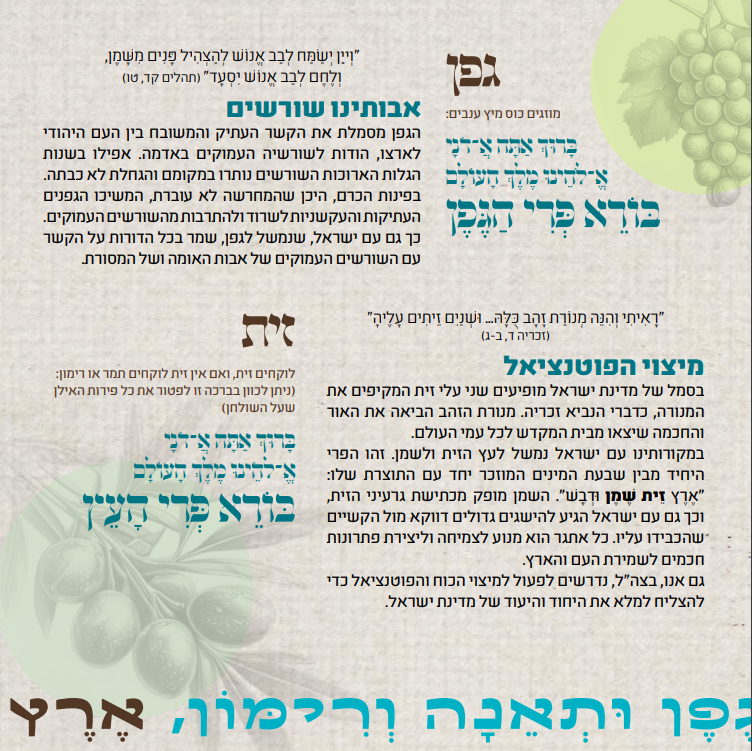 סדר ט"ו בשבט: מה אוכלים? מה מברכים? ומה הסגולה?