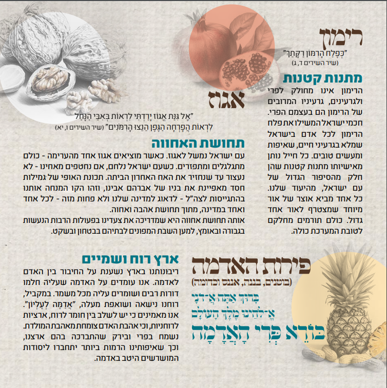 סדר ט"ו בשבט: מה אוכלים? מה מברכים? ומה הסגולה?