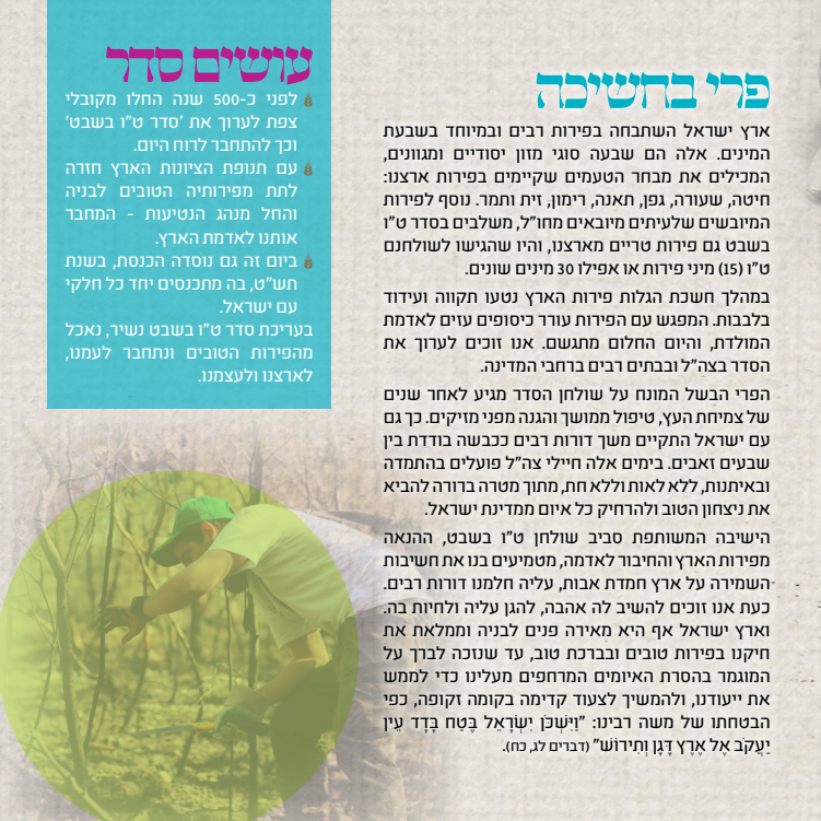 סדר ט"ו בשבט: מה אוכלים? מה מברכים? ומה הסגולה?