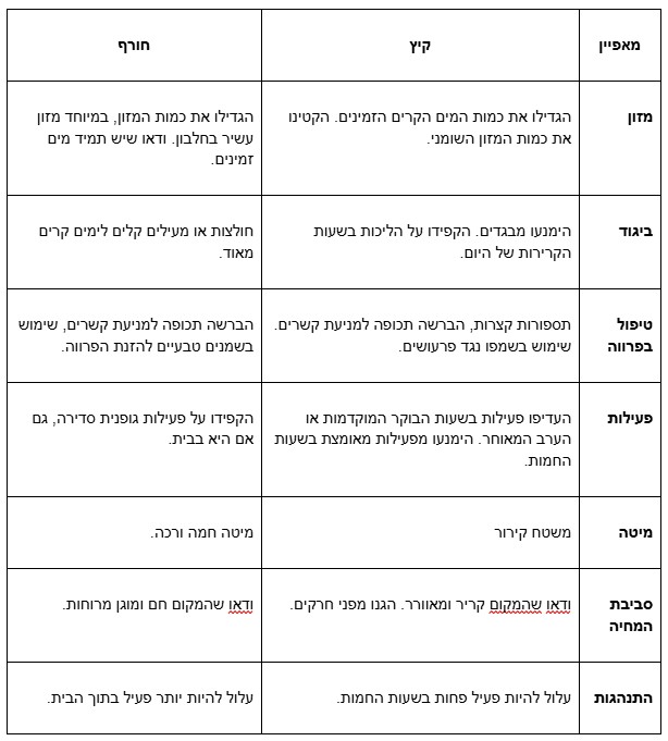 כלבו לכלב ולחתול: דואגים לחיית המחמד שלך בכל עונה!