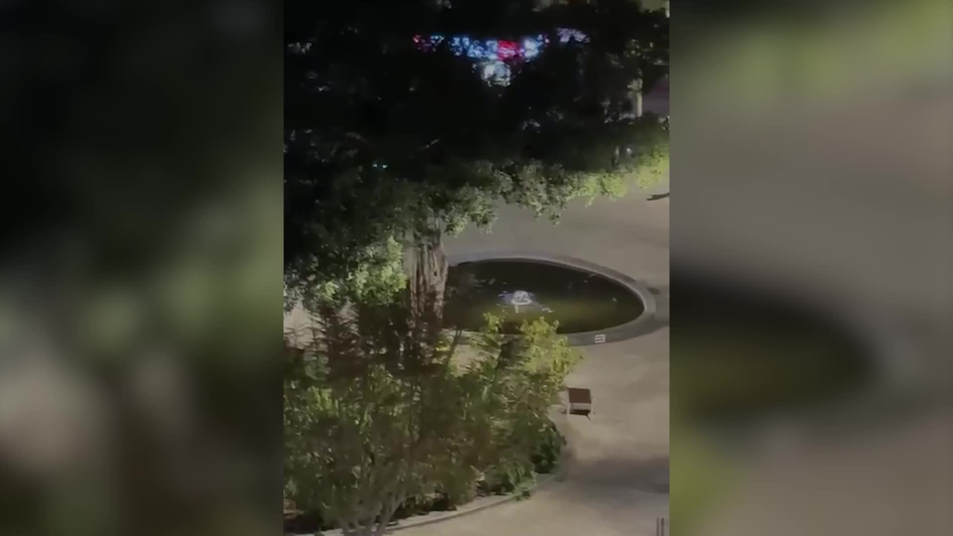 מעצר השבח"ים | צילום: דוברות המשטרה