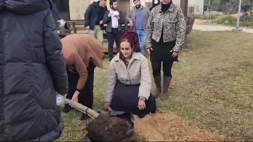סטרוק עץ