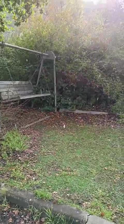 WhatsApp Video 2025-02-24 at 08.23.17