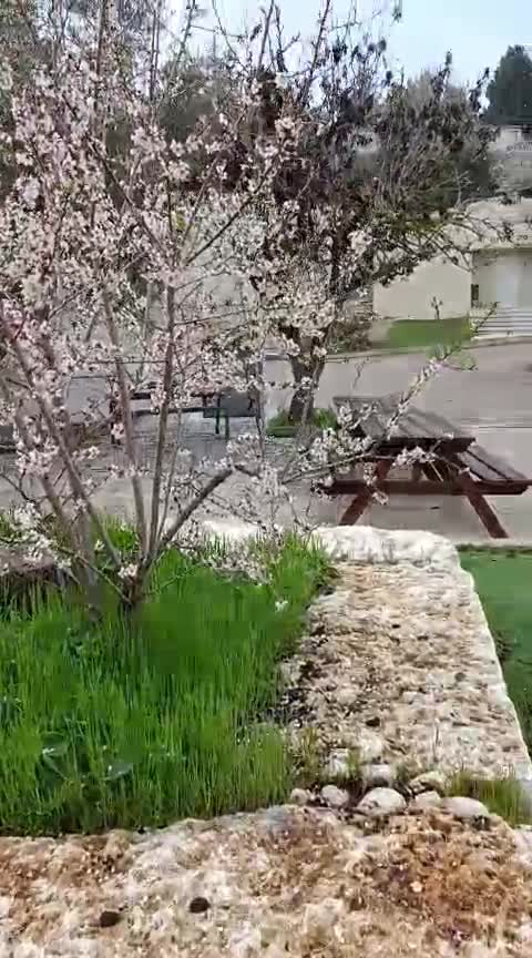 WhatsApp Video 2025-02-24 at 08.23.32
