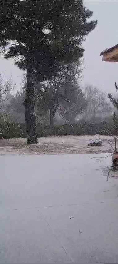 WhatsApp Video 2025-02-24 at 08.08.09 (1)