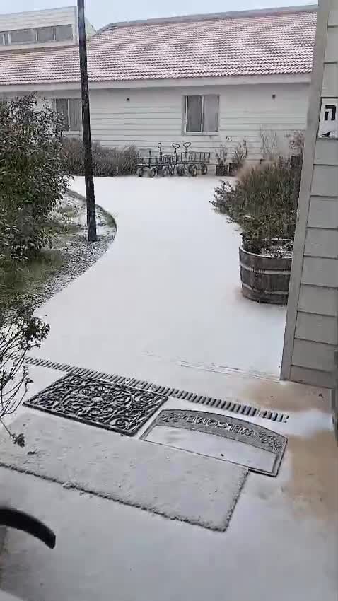 WhatsApp Video 2025-02-24 at 08.08.09
