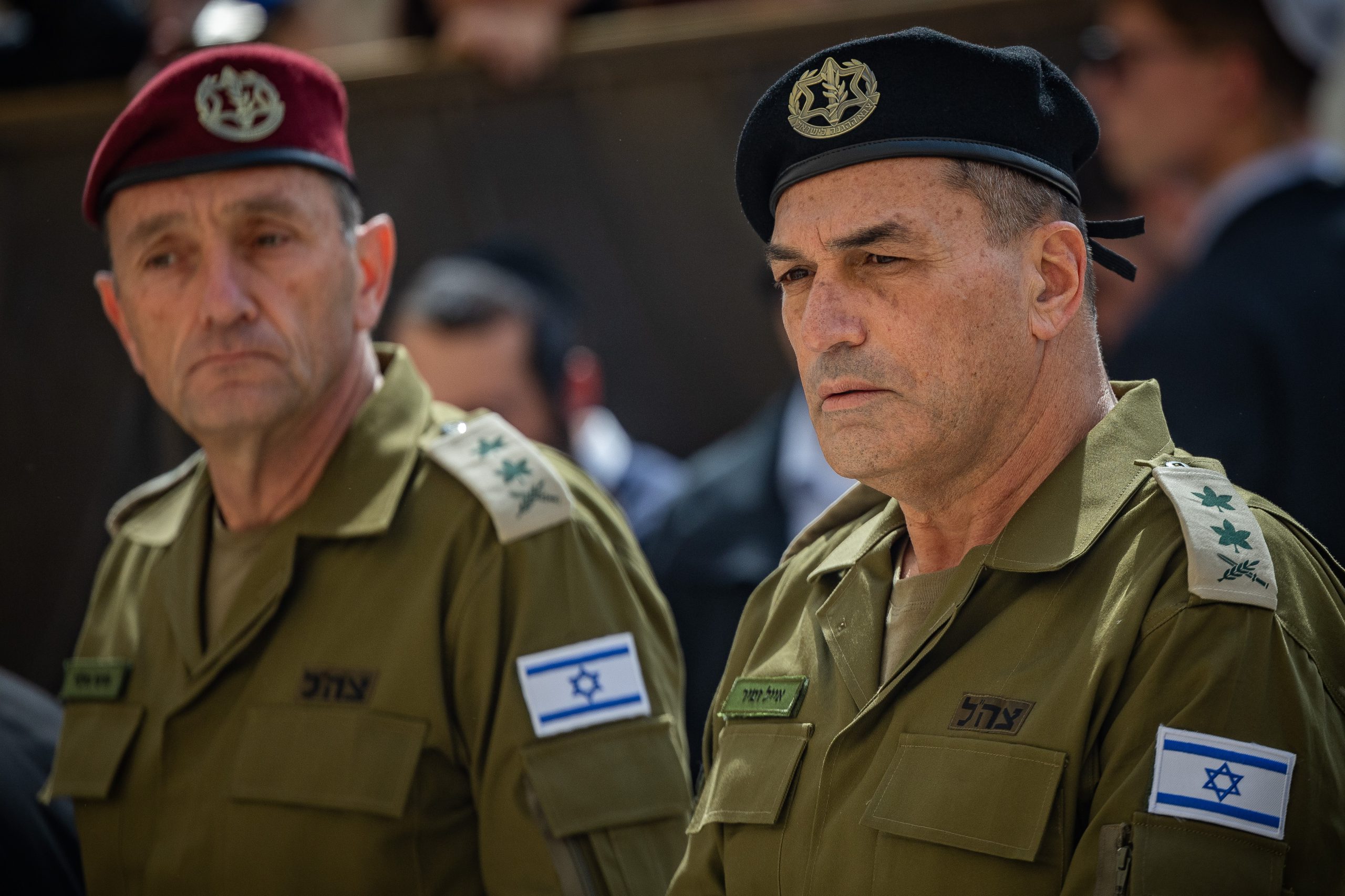 אייל זמיר והרצי הלוי
