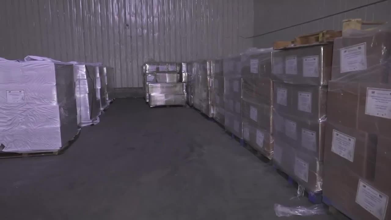 WhatsApp Video 2025-03-13 at 11.07.41