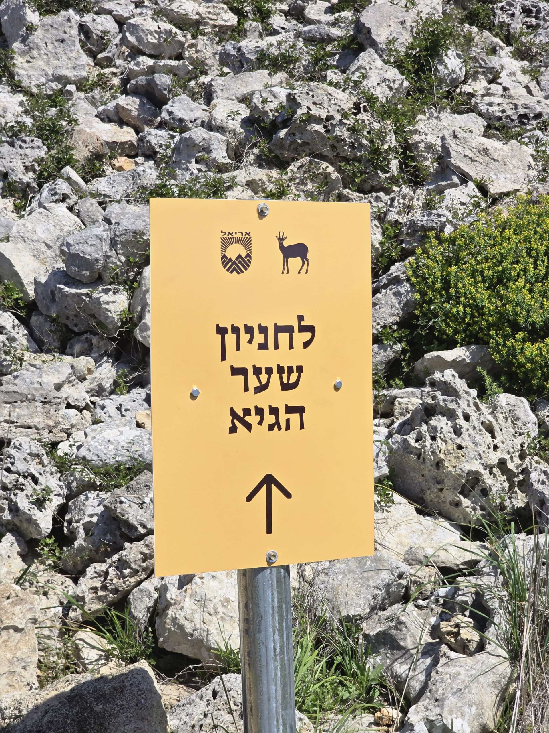 קרדיט: עיריית אריאל