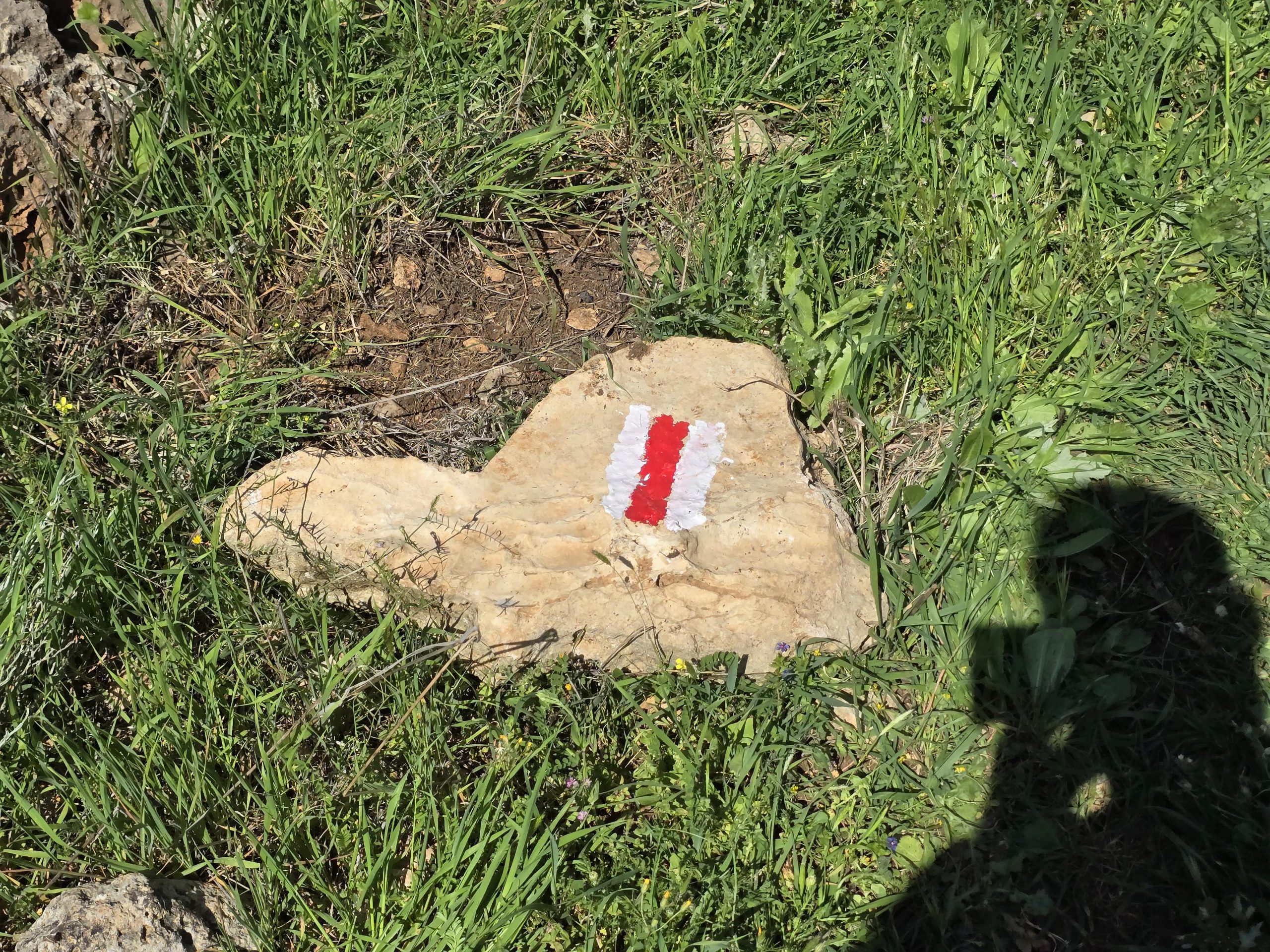 קרדיט: עיריית אריאל