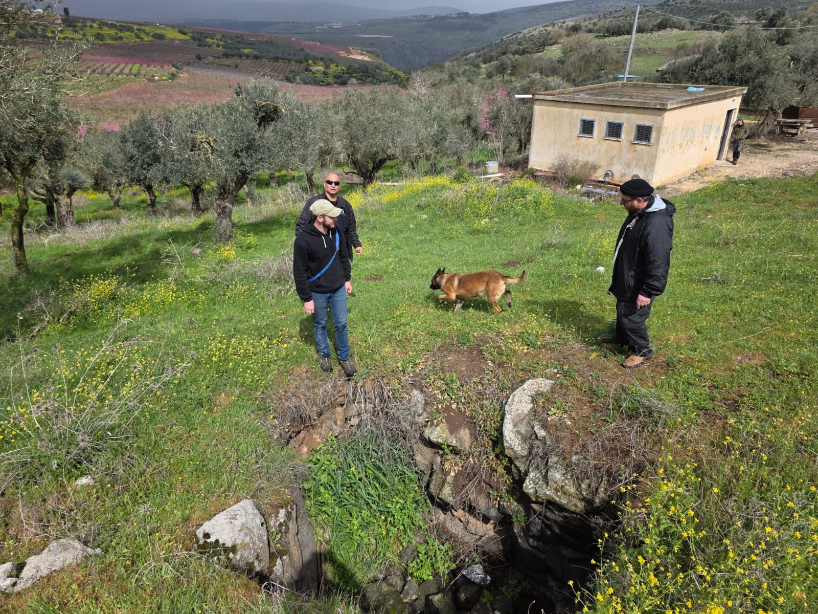 בעקבות עדויות חדשות: חודשו החיפושים אחרי הילדה מהצפון